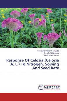 Response Of Celosia (Celosia A. L.) To Nitrogen Sowing And Seed Rate
