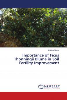 Importance of Ficus Thonningii Blume in Soil Fertility Improvement