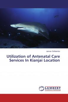 Utilization of Antenatal Care Services In Kianjai Location