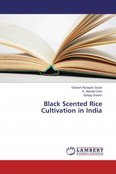 Black Scented Rice Cultivation in India