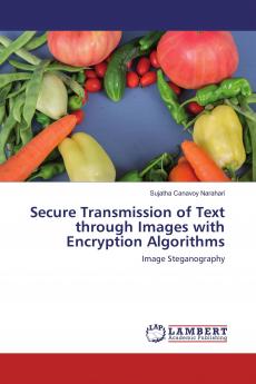 Secure Transmission of Text through Images with Encryption Algorithms