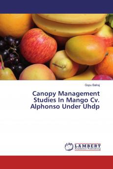 Canopy Management Studies In Mango Cv. Alphonso Under Uhdp