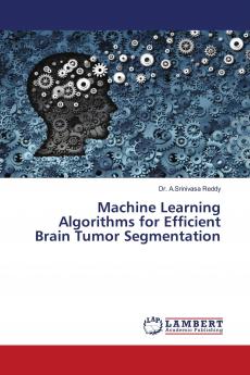 Machine Learning Algorithms for Efficient Brain Tumor Segmentation