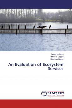 An Evaluation of Ecosystem Services