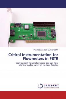 Critical Instrumentation for Flowmeters in FBTR