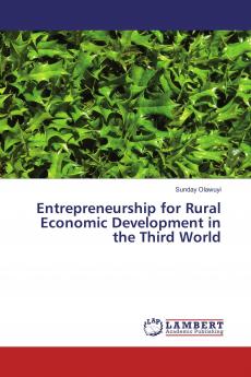 Entrepreneurship for Rural Economic Development in the Third World