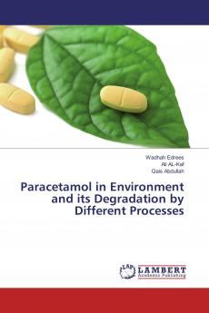 Paracetamol in Environment and its Degradation by Different Processes