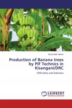 Production of Banana trees by PIF Technics in Kisangani/DRC