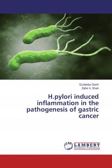 H.pylori induced inflammation in the pathogenesis of gastric cancer