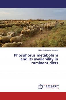 Phosphorus metabolism and its availability in ruminant diets