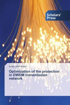 Optimization of the protection in DWDM transmission network