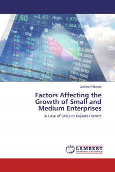 Factors Affecting the Growth of Small and Medium Enterprises