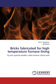 Bricks fabricated for high temperature furnace lining