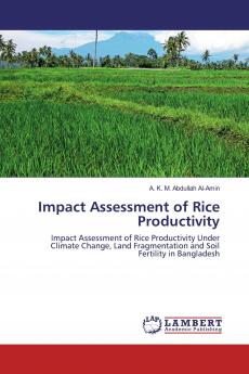 Impact Assessment of Rice Productivity