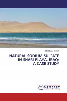NATURAL SODIUM SULFATE IN SHARI PLAYA IRAQ: A CASE STUDY