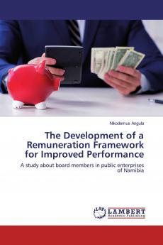 The Development of a Remuneration Framework for Improved Performance