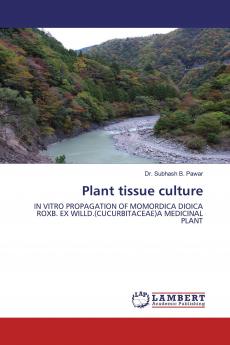 Plant tissue culture