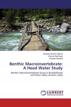 Benthic Macroinvertebrate
