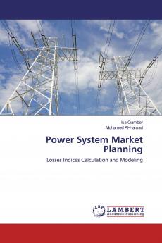 Power System Market Planning