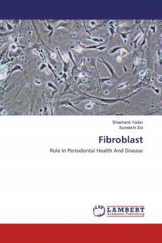 Fibroblast