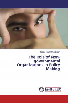 The Role of Non-governmental Organizations in Policy Making