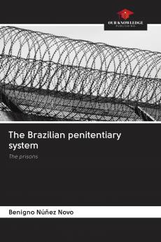 The Brazilian penitentiary system