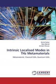 Intrinsic Localised Modes in THz Metamaterials