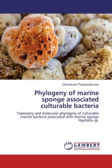 Phylogeny of marine sponge associated culturable bacteria