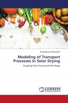 Modeling of Transport Processes in Solar Drying