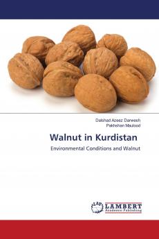 Walnut in Kurdistan