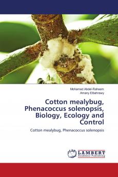 Cotton mealybug Phenacoccus solenopsis Biology Ecology and Control