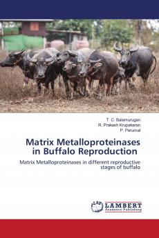 Matrix Metalloproteinases in Buffalo Reproduction