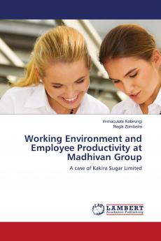 Working Environment and Employee Productivity at Madhivan Group