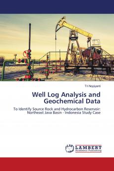 Well Log Analysis and Geochemical Data