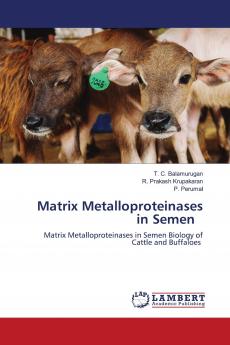 Matrix Metalloproteinases in Semen