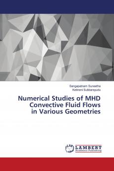 Numerical Studies of MHD Convective Fluid Flows in Various Geometries