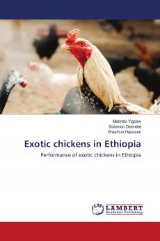 Exotic chickens in Ethiopia