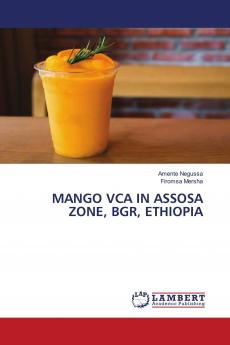 MANGO VCA IN ASSOSA ZONE BGR ETHIOPIA