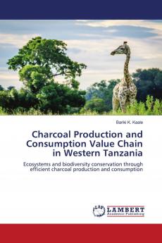 Charcoal Production and Consumption Value Chain in Western Tanzania