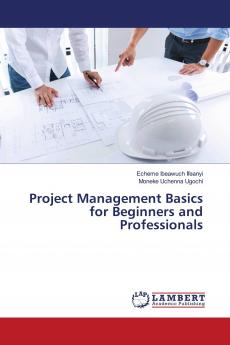 Project Management Basics for Beginners and Professionals