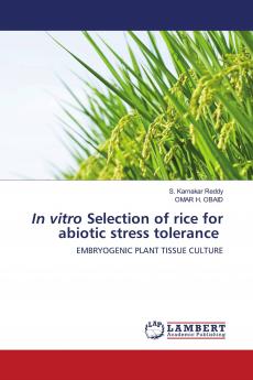 In vitro Selection of rice for abiotic stress tolerance