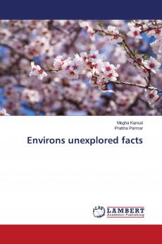 Environs unexplored facts