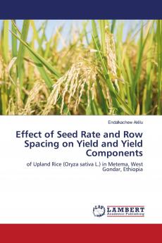 Effect of Seed Rate and Row Spacing on Yield and Yield Components