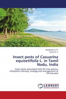 Insect pests of Casuarina equisetifolia L. in Tamil Nadu India
