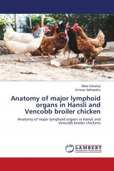 Anatomy of major lymphoid organs in Hansli and Vencobb broiler chicken