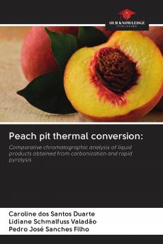 Peach pit thermal conversion: