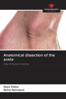 Anatomical dissection of the ankle