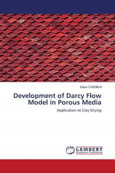 Development of Darcy Flow Model in Porous Media