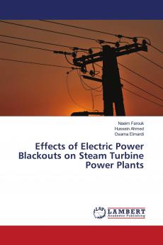 Effects of Electric Power Blackouts on Steam Turbine Power Plants