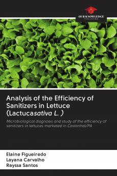 Analysis of the Efficiency of Sanitizers in Lettuce (Lactucasativa L. )
